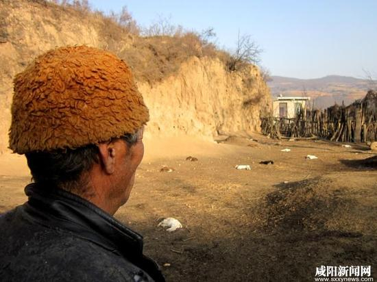 看着满地的小羊尸体，69岁的路秉会难过不已。