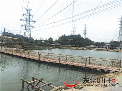 事发鱼塘的上方，有多条高压线跨过。（记者 林朝丰 摄）