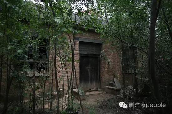 　　2013年6月23日，河北邯郸广平县南寺郎固村，王书金废弃的家，王书金的父母都已去世，只剩下两间废弃的砖房。新京报记者 侯少卿 摄