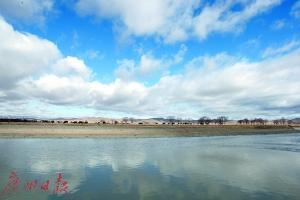 2016年4月6日，在蒙古国首都乌兰巴托郊外，经历过寒冬的牲畜在觅食。新华社记者 郑闯 摄