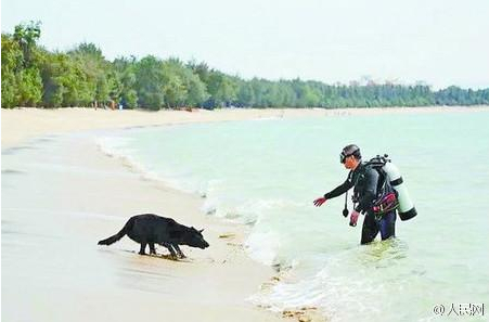 王刚在训练黑豹