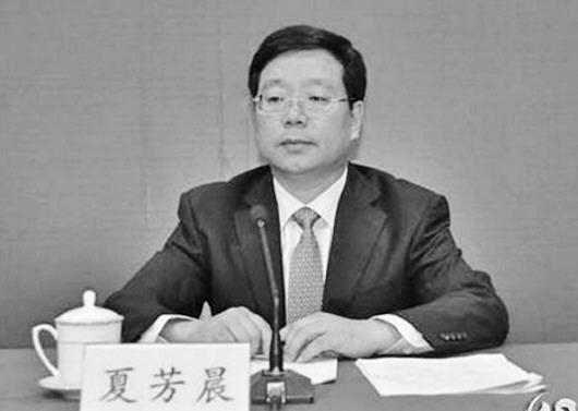 夏芳晨，原任省社保基金理事会股权管理总监，曾任潍坊市副市长，2016年8月任阳光保险副总经理。