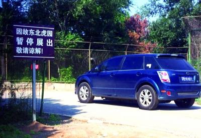 &nbsp;&nbsp;&nbsp;&nbsp;东北虎园仍处于关闭状态