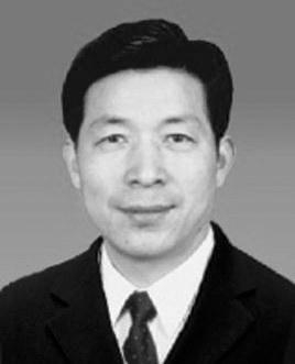 天津市代市长王东峰