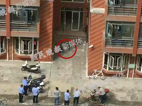 　　图说：坠楼事件现场红圈处为坠楼倒地地点 来源：网友图