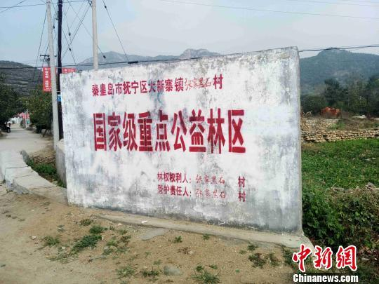 &nbsp;&nbsp;&nbsp;&nbsp;在通往张家黑石村的公路旁，一块石碑上面标明“秦皇岛市抚宁区大新寨镇张家黑石村国家级重点公益林区”。　崔涛　摄