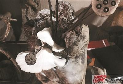 根雕的中间部位的洞里长出了3朵乳白色蘑菇。记者秦媛摄