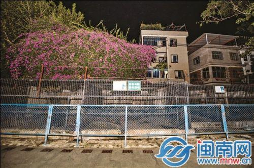 　　居民区和动物园一墙之隔，墙高3米左右