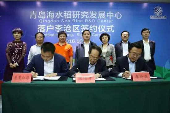 　　“青岛海水稻研发中心”成立，这是国内首个国家级海水稻研究发展中心，袁隆平担任该中心主任和首席科学家。图片来源：人民网