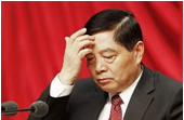 云南省委原副书记仇和
