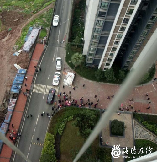 现场图片。来源：涪陵在线