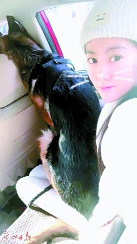 90后“宠物殡葬师”徐雅婷说，创业初衷是送宠物最后一程。