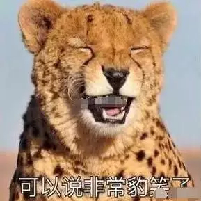 这些回复，让jiu小编深深领悟到：