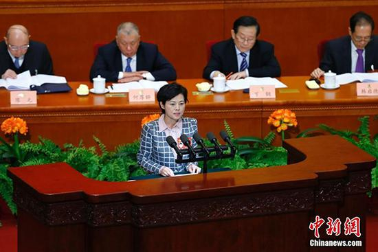  会上，徐晓兰委员作《小小一支笔 谱写大文章》的发言