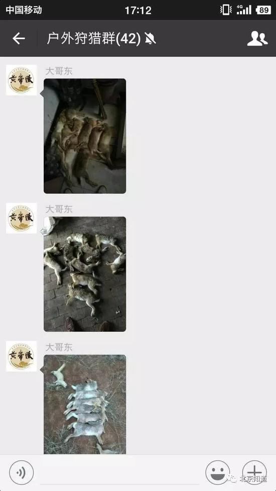 有粉丝在主播建的微信群中晒打野“成果” |天将明供图