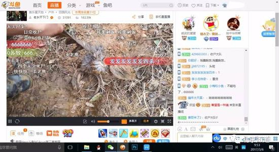 猎夹下的野鸟残骸