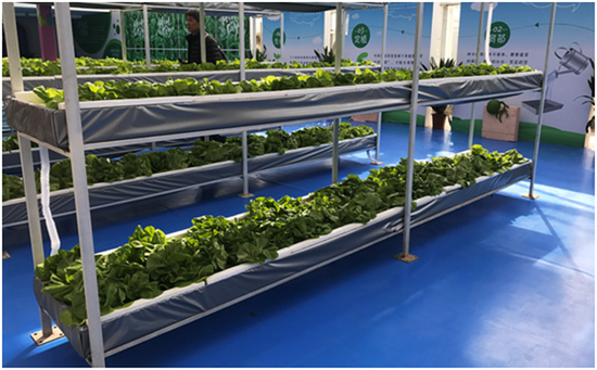 　　130项农业科技展现智慧农业的神奇