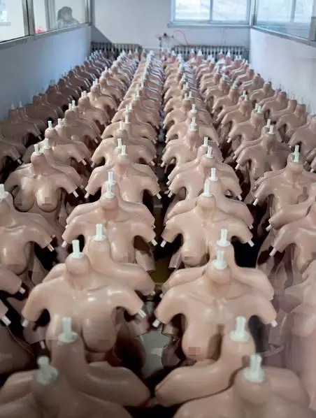 “你好，女神”