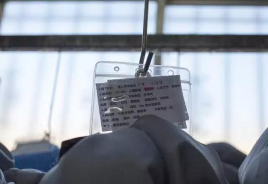 等待装箱发货的娃娃。标签上注明了娃娃的配置