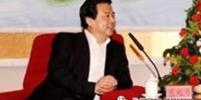 首位落马的中央巡视组长_手机新浪网