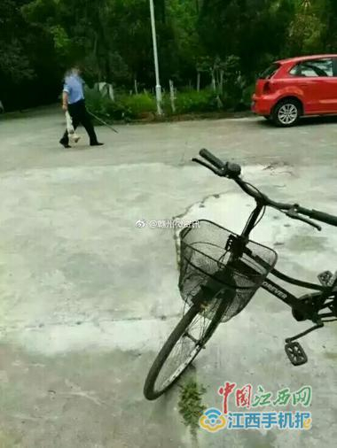 学校保安打死流浪狗