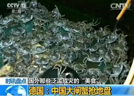 苏格兰：美国小龙虾入侵