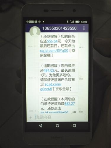 初三生用母亲身份证网上打白条半年花近7000元。记者张野文/图
