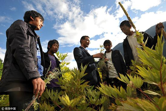 教师带学生辨药 视觉中国供图