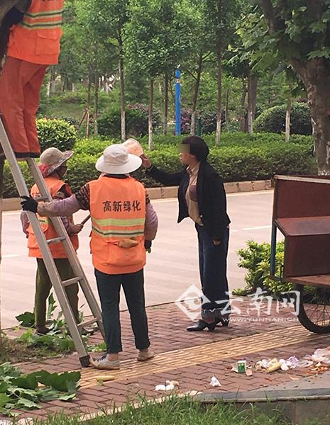 目击者：女子将生活垃圾倒在拉绿化工具的车上引争执