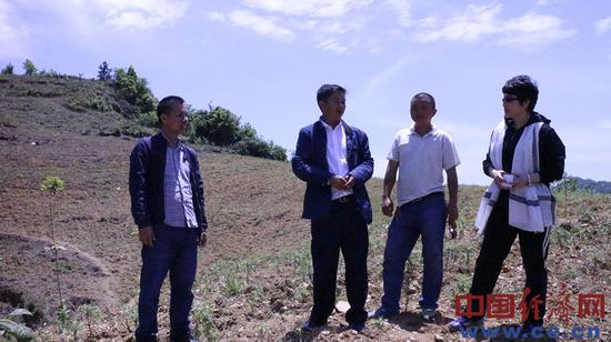 村干部在任光先的种植基地上