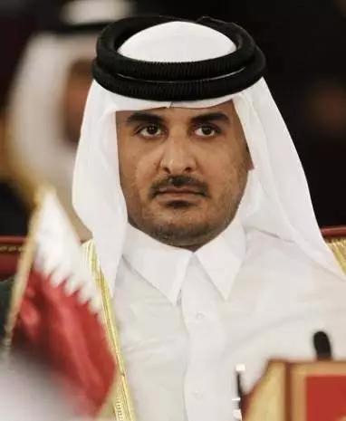 &nbsp;▲卡塔尔现任埃米尔Tamim binHamad Al Thani