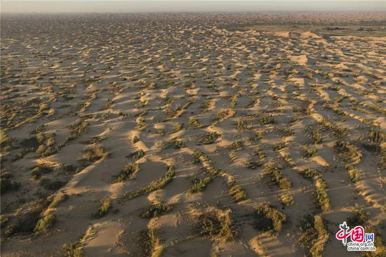 　　1.86万平方公里的大沙漠，1/3已经披上了绿装。随着生态环境的改善，树长沙降，当地创新的“迎风坡造林”技术，使沙丘高度整体下降50%。乔治•斯坦梅茨 摄