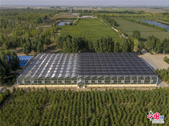 亿利种质资源库培育了1000多种耐寒、耐旱、耐盐碱的绿色种子。乔治•斯坦梅茨 摄