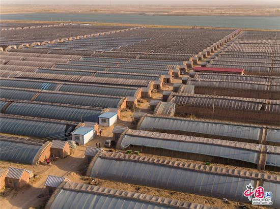 库布其沙漠里的生态农业。乔治•斯坦梅茨 摄