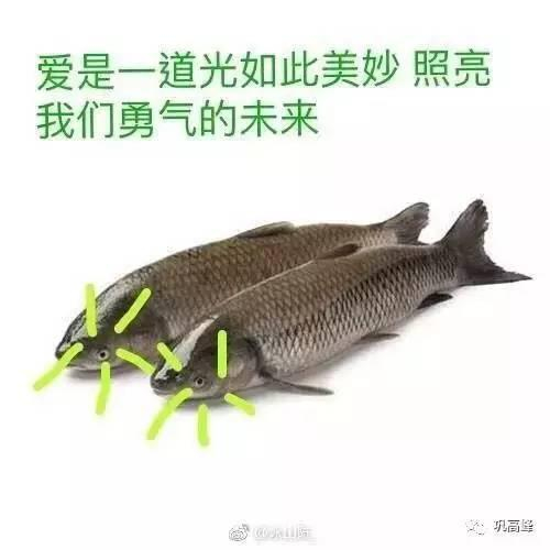  图片来源：@巩高峰微博&nbsp;