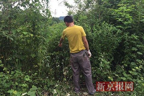 目击者指认事发现场。