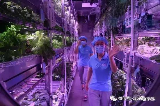  在“月宫一号”内的志愿者向窗外打招呼。