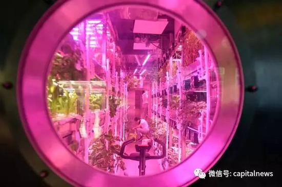  通过玻璃窗可以看到舱内情况。