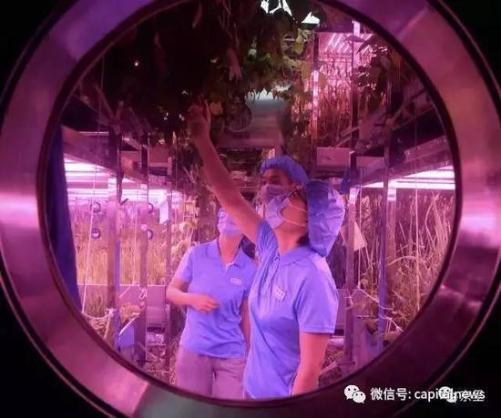  从明天起，关心粮食和蔬菜。我有一所房子，面朝月球，春暖花开。