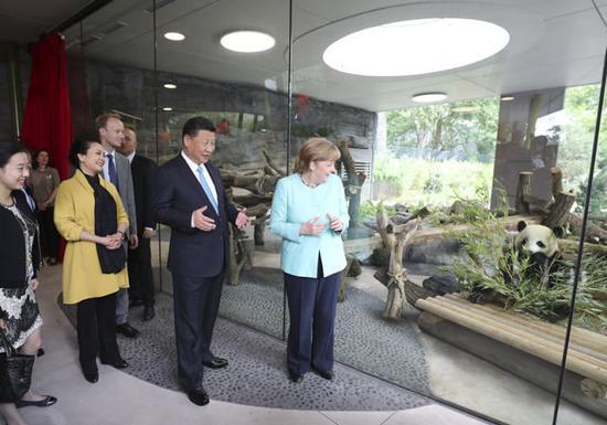 　　7月5日，国家主席习近平同德国总理默克尔共同出席柏林动物园大熊猫馆开馆仪式。这是习近平和夫人彭丽媛同默克尔在大熊猫馆。新华社记者 马占成 摄