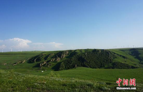 满眼的碧绿。&nbsp;孙静波摄&nbsp;