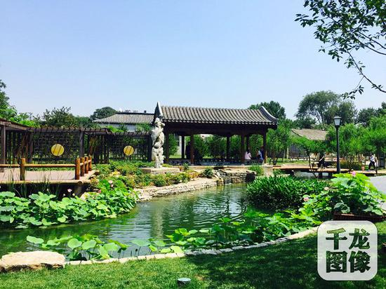 位于北京市东城区前门的三里河景观，经过九个月的整治，水穿街巷，宛如江南水乡。图为景观一隅。千龙网记者&nbsp;欧阳晓娟摄