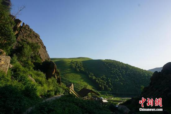 景区内的白桦树。&nbsp;孙静波摄