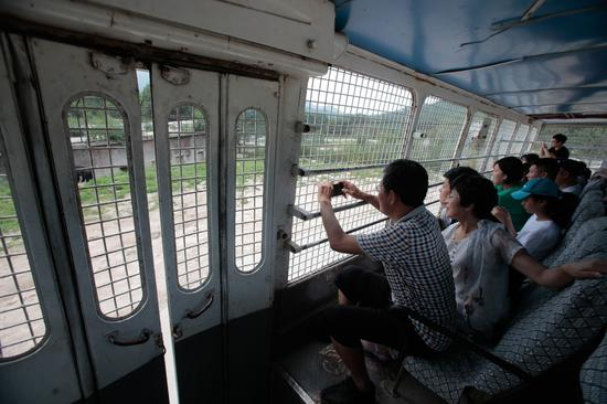　　▲2017年7月15日，在动物园猛兽区，游客在笼车内拿出手机拍照，但大家未发现笼车的车门并没有完全关好。