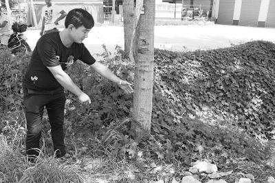  陈亚辉向大家讲述当时的场景，就在这里，抢夺者最终被逼停并被控制。