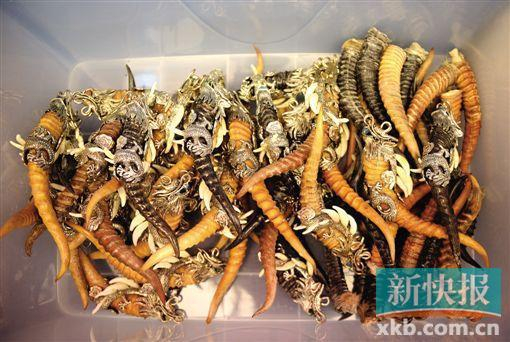 广东警方开展“森网2017”专项行动，收缴野生动物11720余头/只