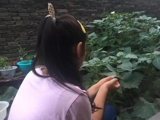 7月9日，12岁的何佳佳看着坐在对面的姑姑何利贤说，“我撒谎了。”新京报记者李兴丽摄&nbsp;&nbsp;