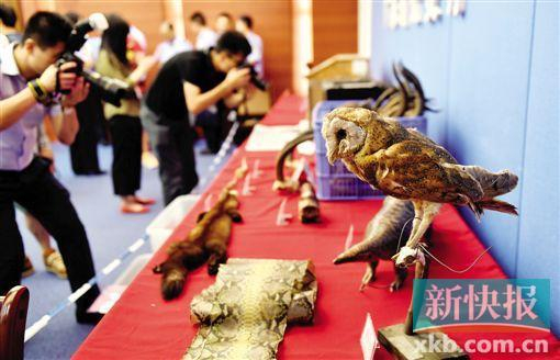 警方展示查获的部分野生动物或标本&nbsp;