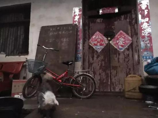 2014年，何佳佳和弟弟开始跟着叔叔生活。&nbsp;