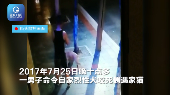 眼前的这一幕幕，当时就让黄先生睡意全无了，连忙起身找寻自己的爱猫，想看看它在不在，结果真不见了，便叫上朋友去找自己的猫。